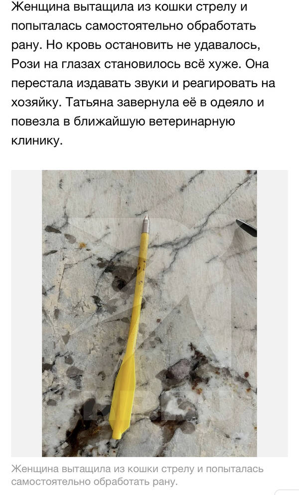 https://upforme.ru/uploads/001a/8c/05/2/t811315.jpg