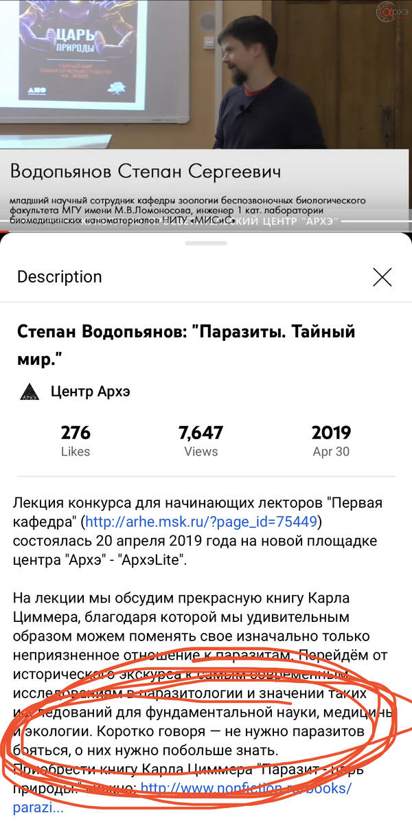 https://upforme.ru/uploads/001a/8c/05/2/t845499.jpg