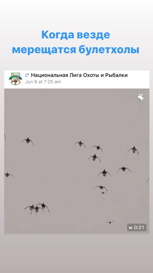 https://upforme.ru/uploads/001a/8c/05/2/t936423.jpg