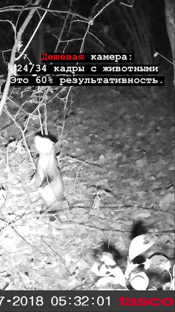 https://upforme.ru/uploads/001a/8c/05/2/t94379.jpg