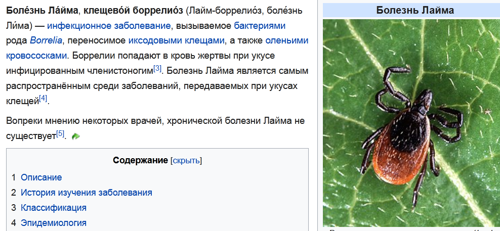 https://upforme.ru/uploads/001a/8c/05/21/13396.png