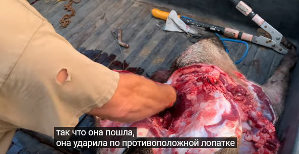 https://upforme.ru/uploads/001a/8c/05/21/212802.png
