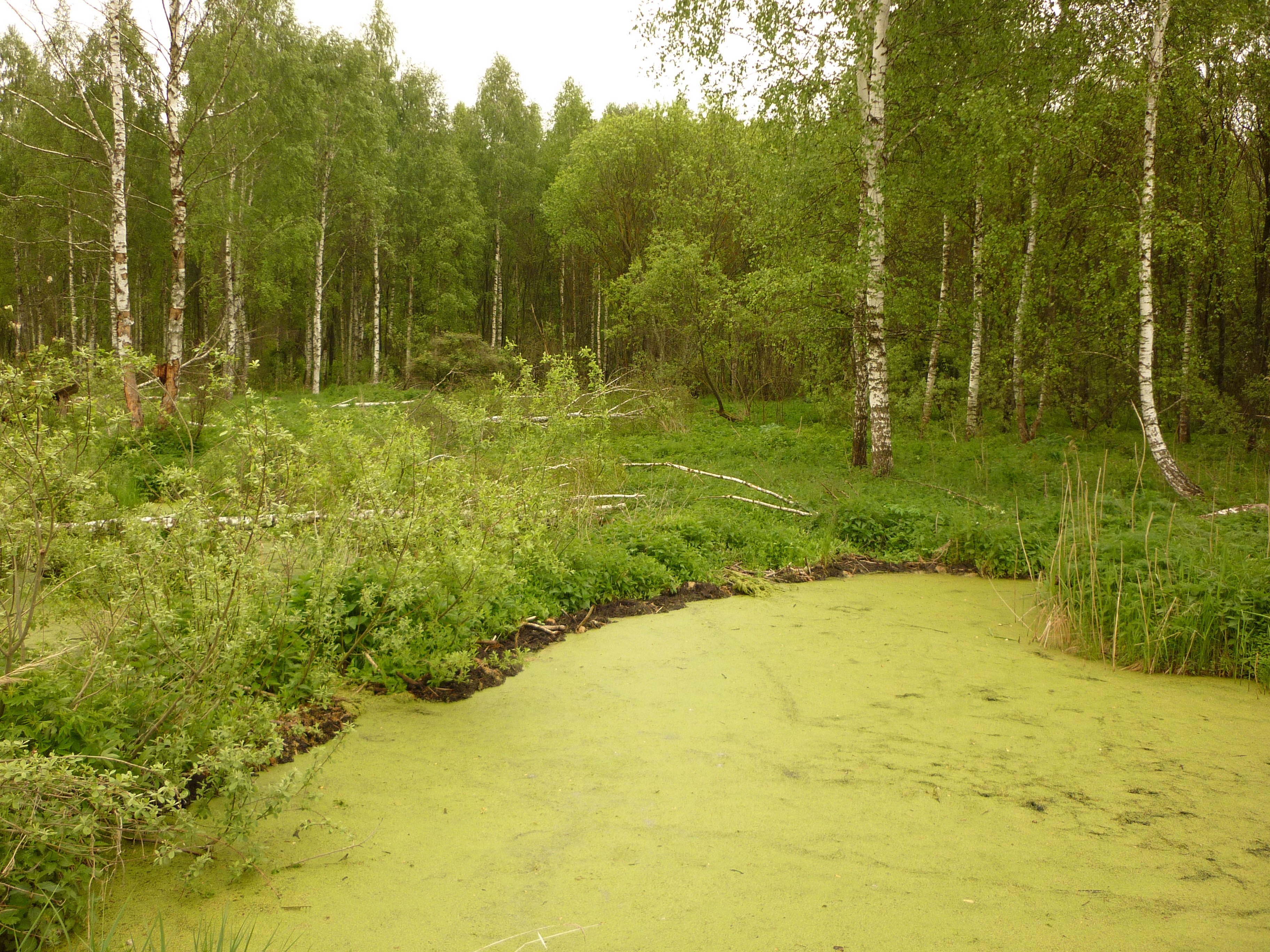 https://upforme.ru/uploads/001a/8c/05/21/443831.jpg