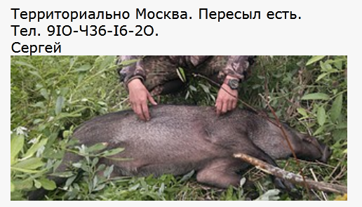 https://upforme.ru/uploads/001a/8c/05/21/617803.png
