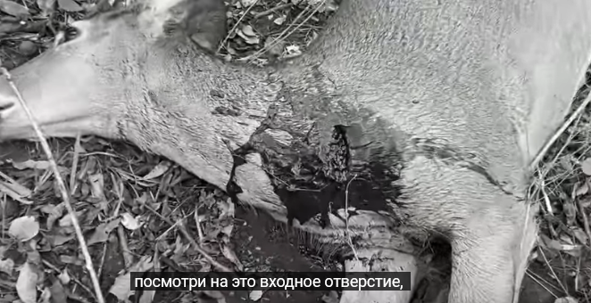 https://upforme.ru/uploads/001a/8c/05/21/770163.png