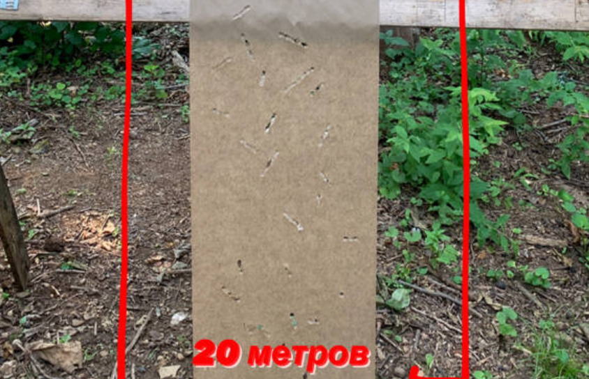 https://upforme.ru/uploads/001a/8c/05/21/78037.png