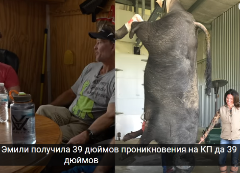 https://upforme.ru/uploads/001a/8c/05/21/956621.png
