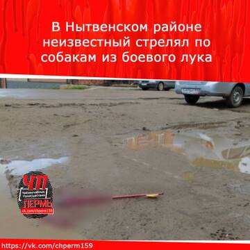 https://upforme.ru/uploads/001a/8c/05/234/t181516.jpg