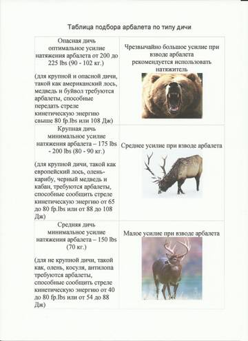 https://upforme.ru/uploads/001a/8c/05/248/t903645.jpg