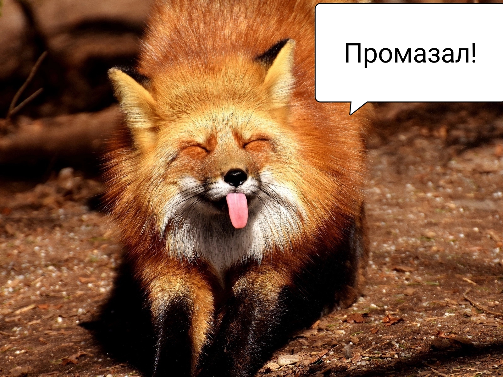 https://upforme.ru/uploads/001a/8c/05/249/180561.jpg