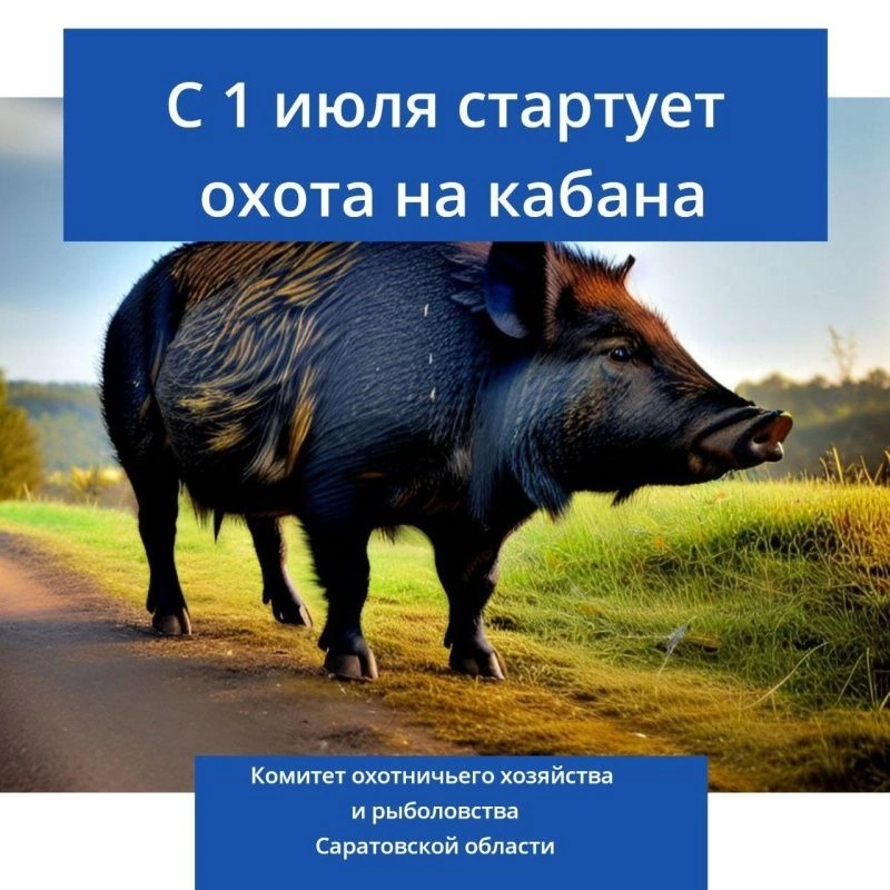 https://upforme.ru/uploads/001a/8c/05/249/274736.webp