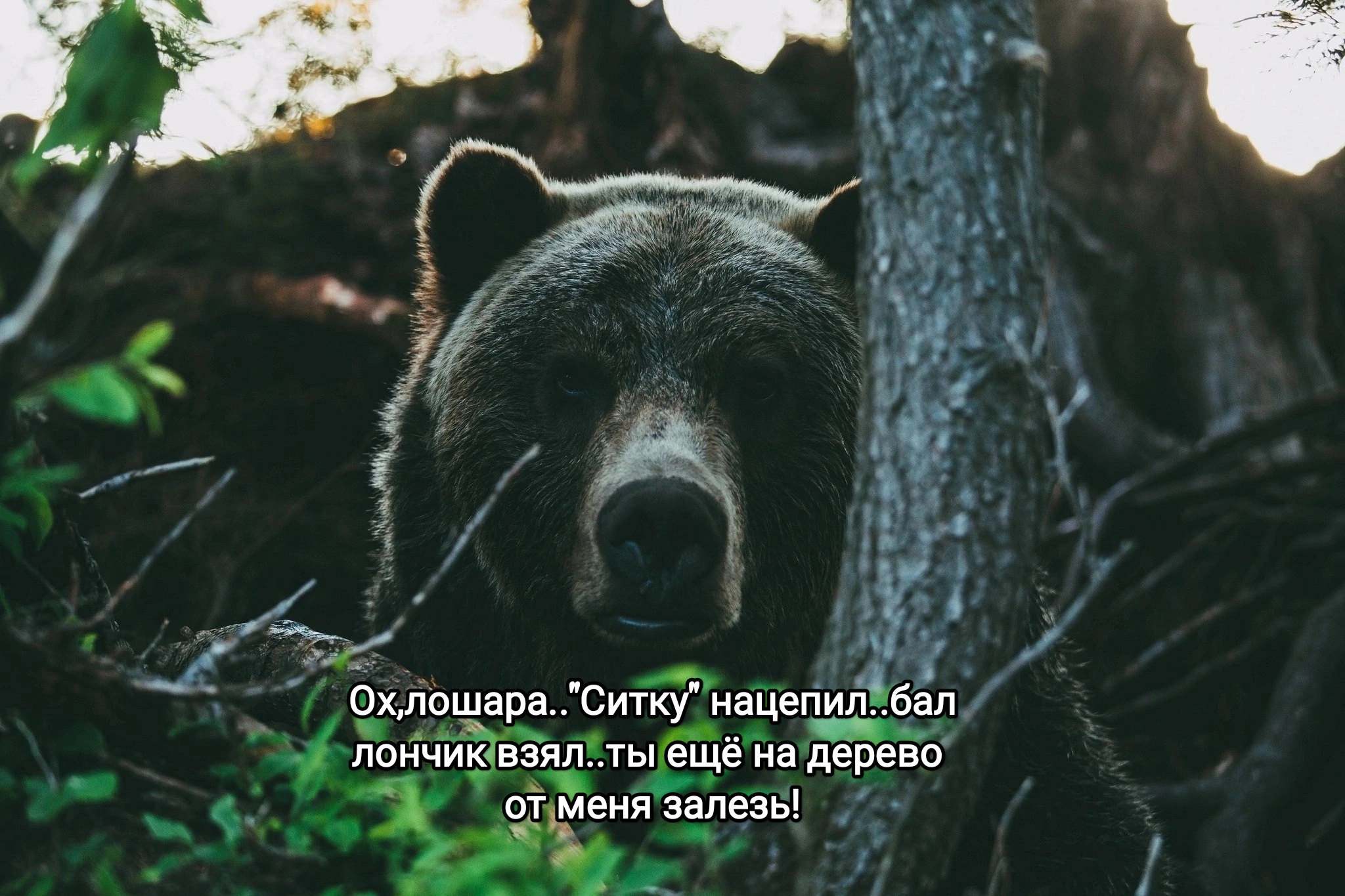 https://upforme.ru/uploads/001a/8c/05/249/275113.jpg