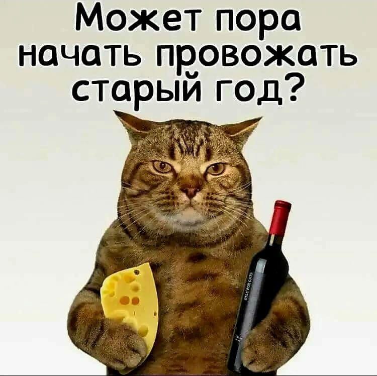 https://upforme.ru/uploads/001a/8c/05/249/277700.jpg