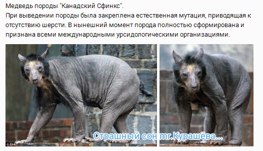https://upforme.ru/uploads/001a/8c/05/249/321142.jpg