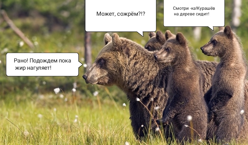 https://upforme.ru/uploads/001a/8c/05/249/37122.jpg