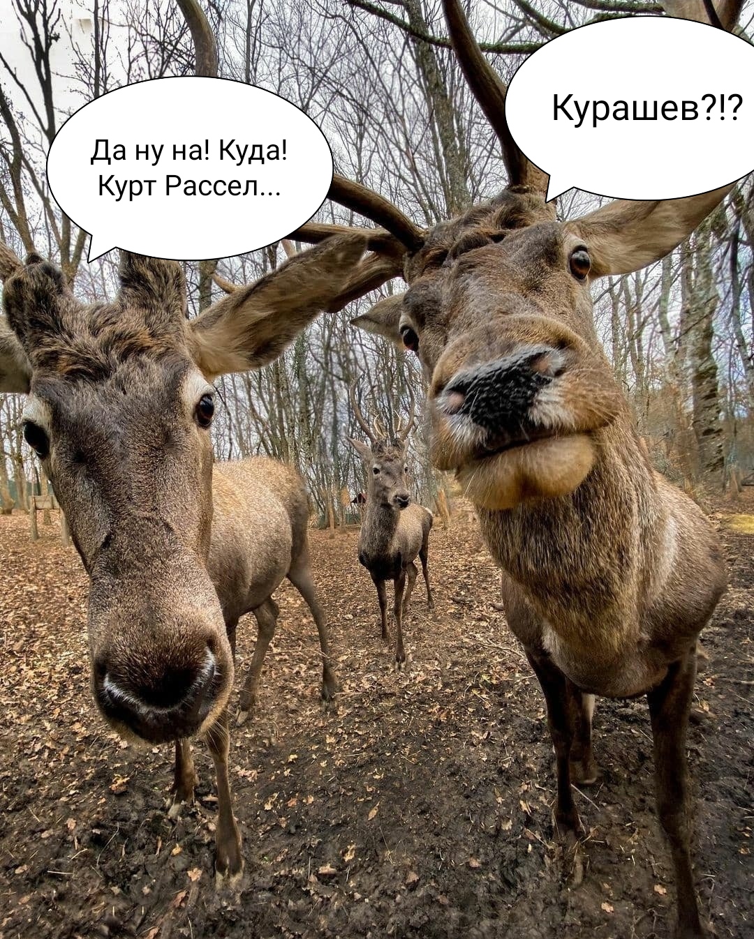 https://upforme.ru/uploads/001a/8c/05/249/412970.jpg