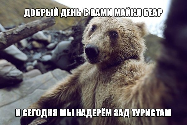 https://upforme.ru/uploads/001a/8c/05/249/449123.jpg