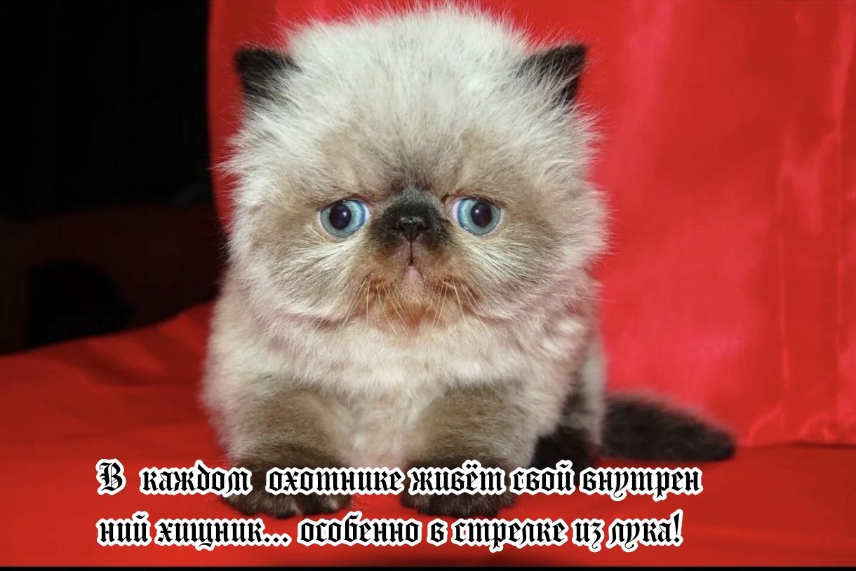 https://upforme.ru/uploads/001a/8c/05/249/47189.jpg