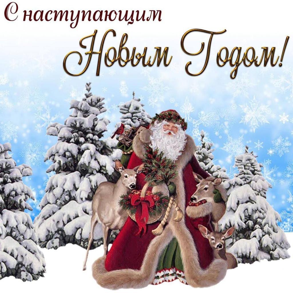 https://upforme.ru/uploads/001a/8c/05/249/539596.jpg