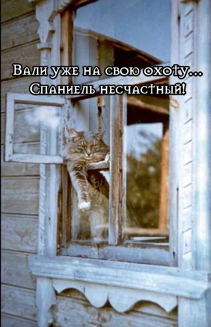 https://upforme.ru/uploads/001a/8c/05/249/54241.jpg