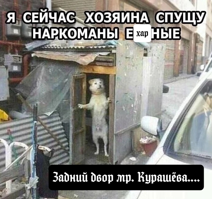 https://upforme.ru/uploads/001a/8c/05/249/573715.jpg