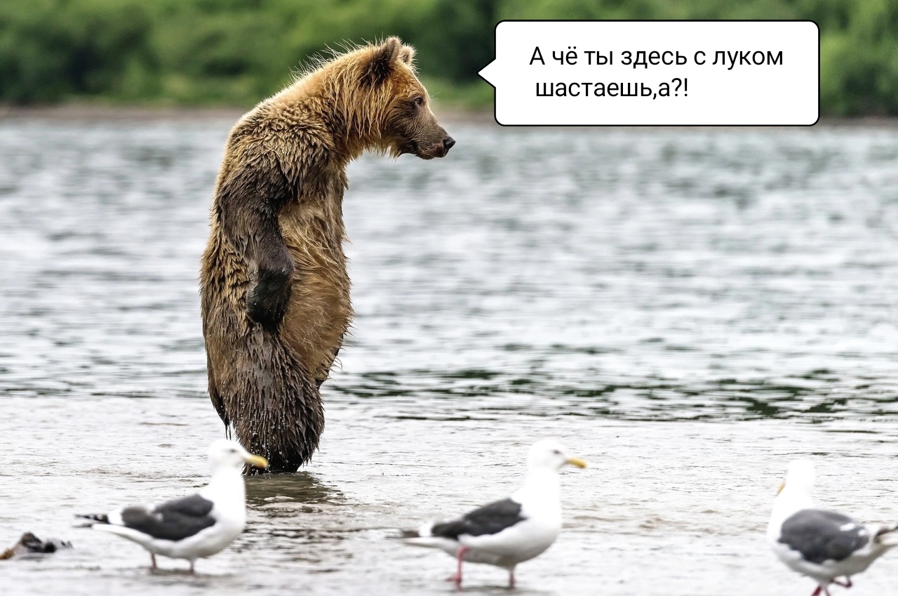 https://upforme.ru/uploads/001a/8c/05/249/585085.jpg