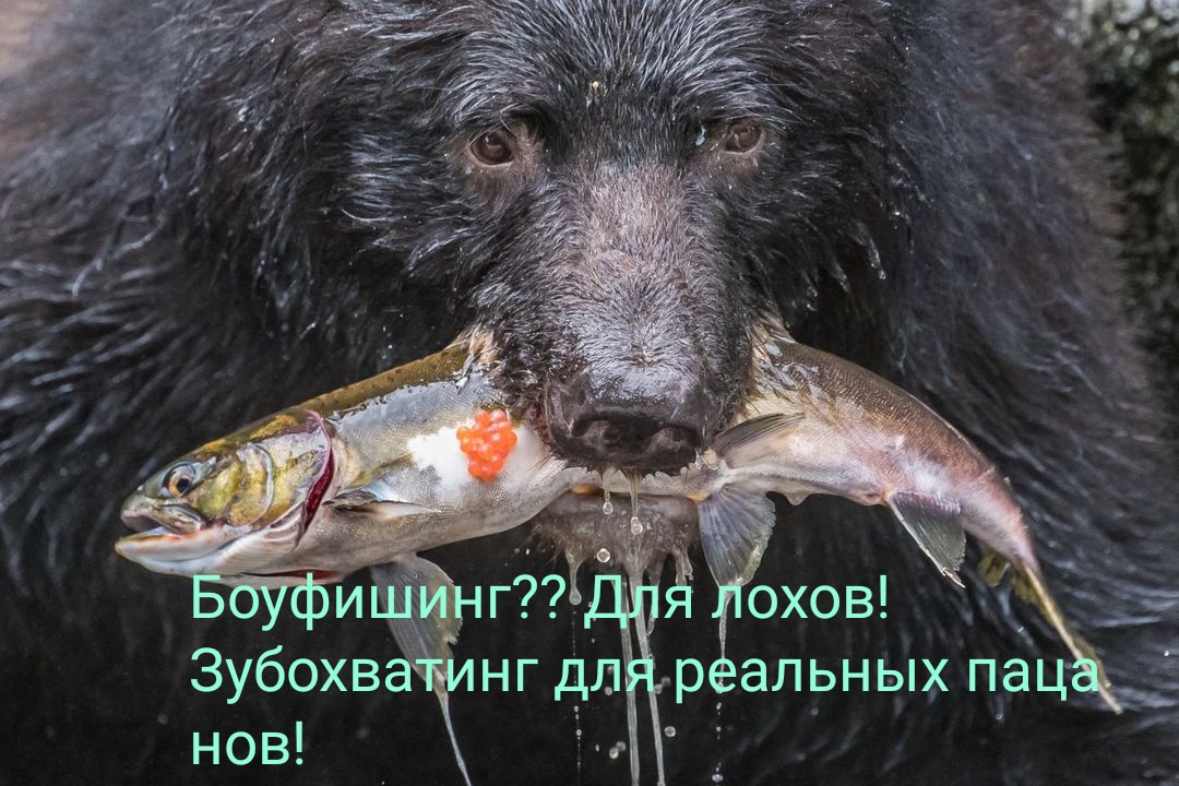 https://upforme.ru/uploads/001a/8c/05/249/58657.jpg