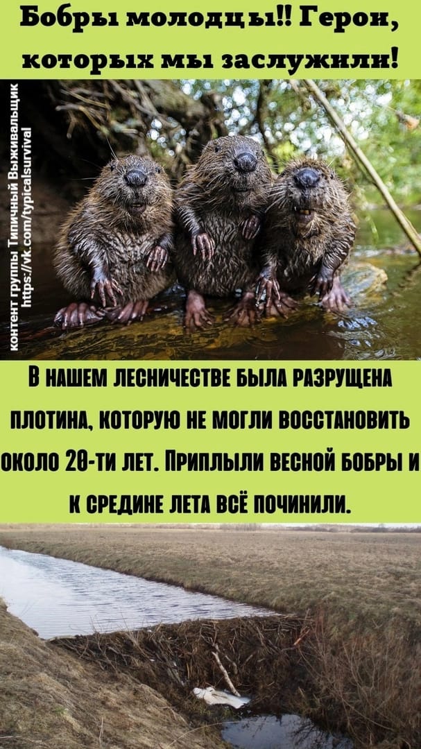 https://upforme.ru/uploads/001a/8c/05/249/76730.jpg
