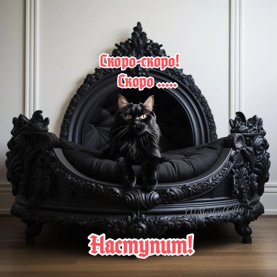 https://upforme.ru/uploads/001a/8c/05/249/791010.jpg