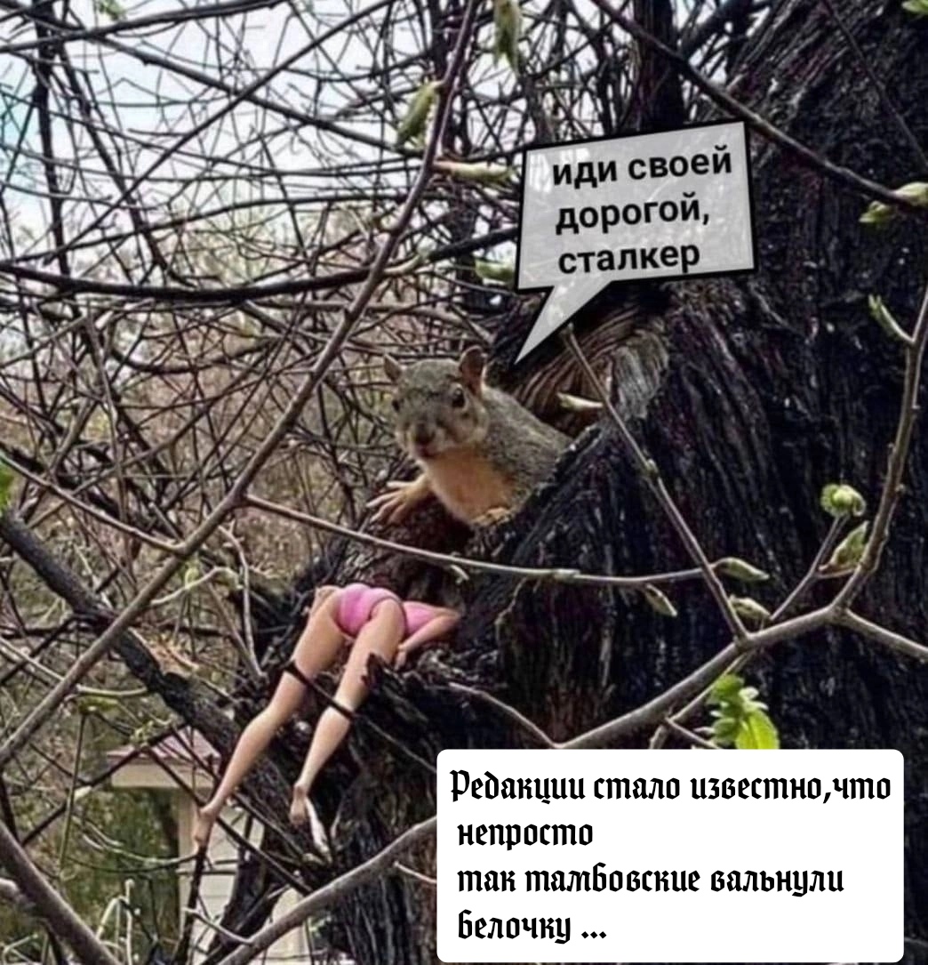 https://upforme.ru/uploads/001a/8c/05/249/860341.jpg