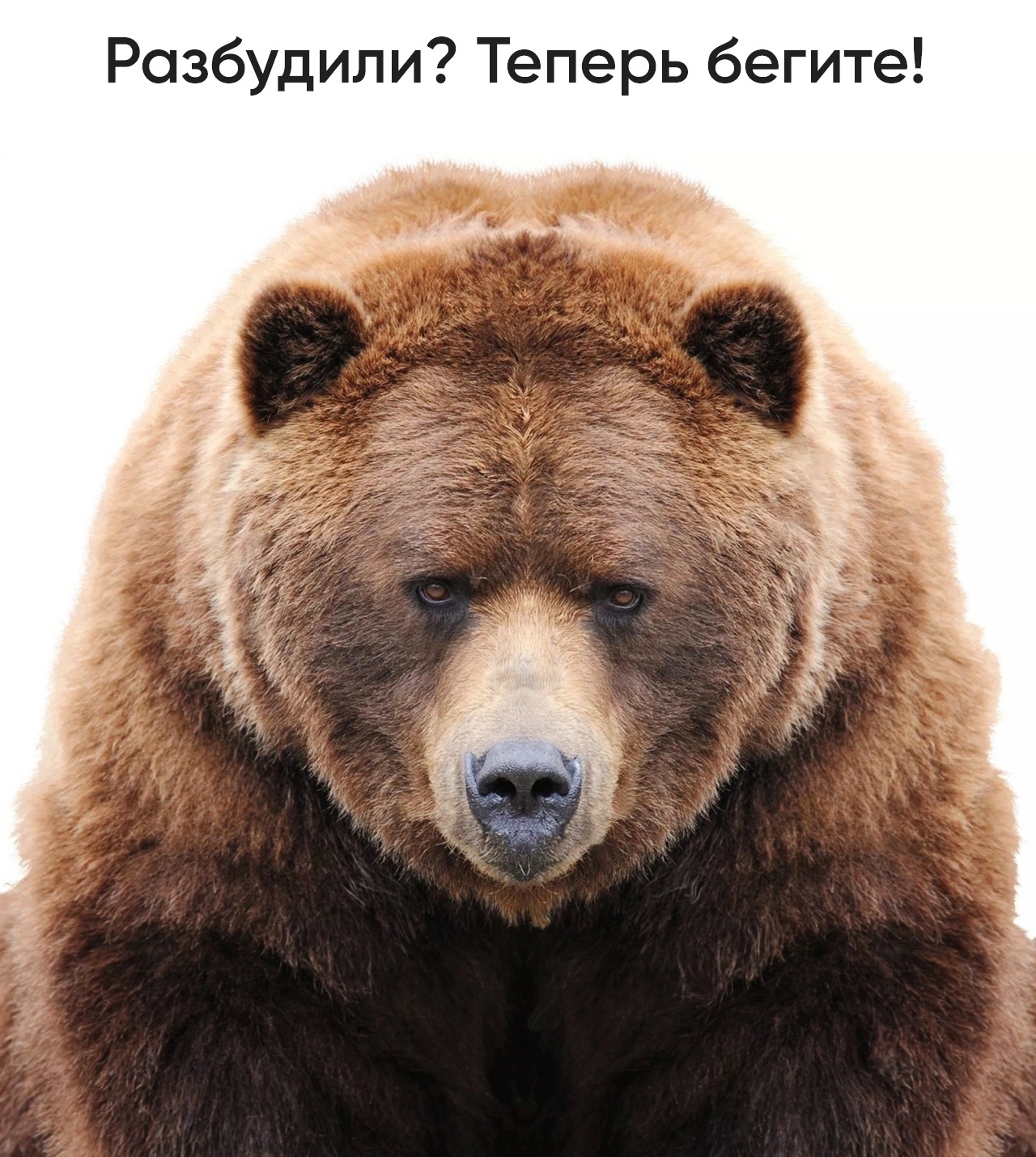 https://upforme.ru/uploads/001a/8c/05/249/94262.jpg