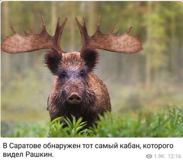 https://upforme.ru/uploads/001a/8c/05/249/t266663.jpg