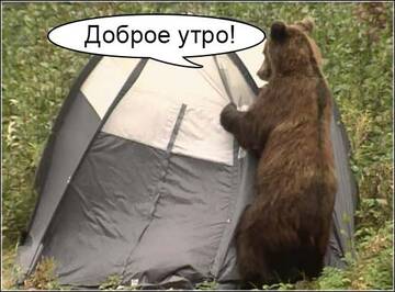 https://upforme.ru/uploads/001a/8c/05/249/t548046.jpg
