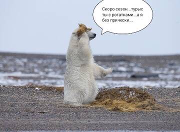 https://upforme.ru/uploads/001a/8c/05/249/t658849.jpg
