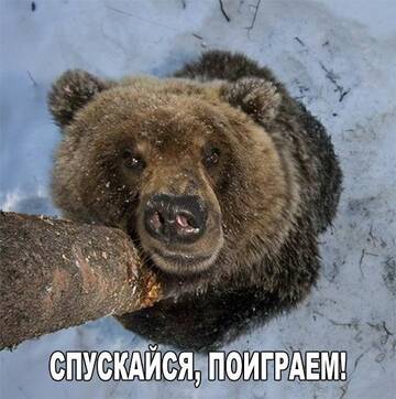 https://upforme.ru/uploads/001a/8c/05/249/t686680.jpg