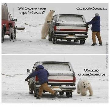https://upforme.ru/uploads/001a/8c/05/249/t805493.jpg