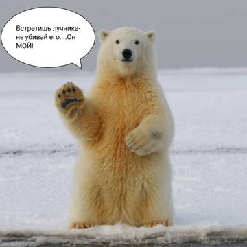 https://upforme.ru/uploads/001a/8c/05/249/t955227.jpg