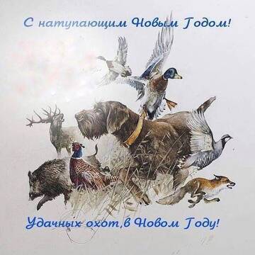 https://upforme.ru/uploads/001a/8c/05/370/t745324.jpg