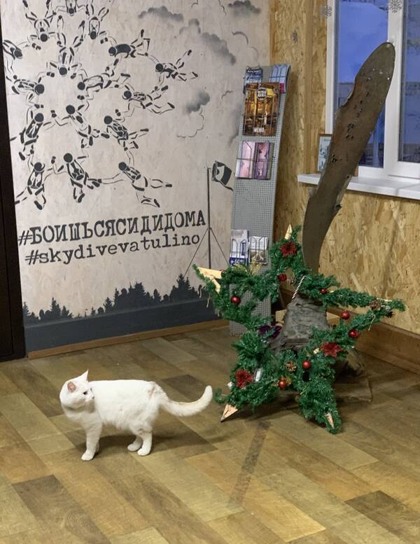 https://upforme.ru/uploads/001a/8c/05/503/t340644.jpg