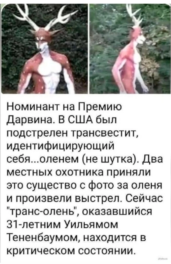 https://upforme.ru/uploads/001a/8c/05/503/t445313.png