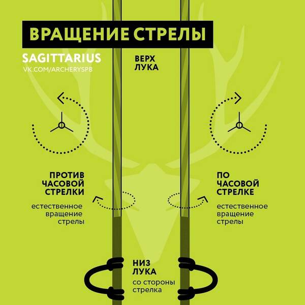 https://upforme.ru/uploads/001a/8c/05/503/t472104.jpg