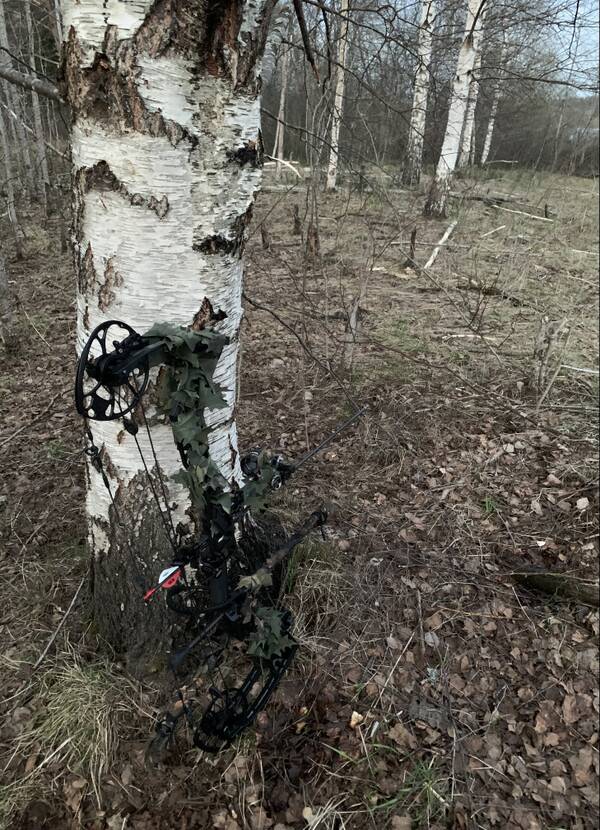https://upforme.ru/uploads/001a/8c/05/503/t838290.jpg