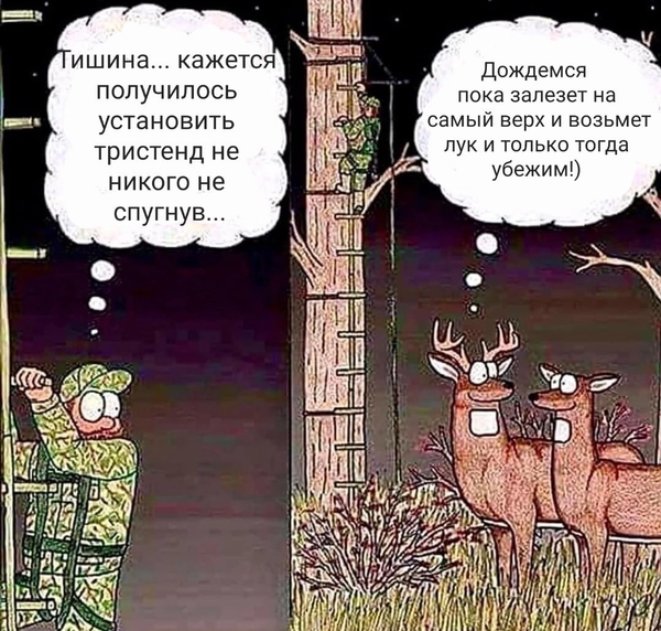 https://upforme.ru/uploads/001a/8c/05/503/t857790.png