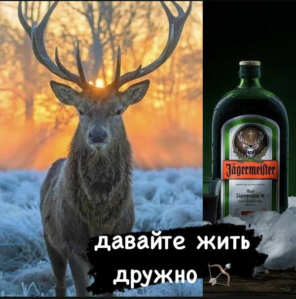 https://upforme.ru/uploads/001a/8c/05/503/t869597.jpg