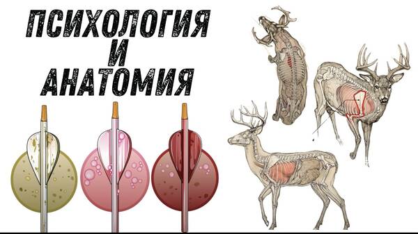 https://upforme.ru/uploads/001a/8c/05/503/t877191.jpg