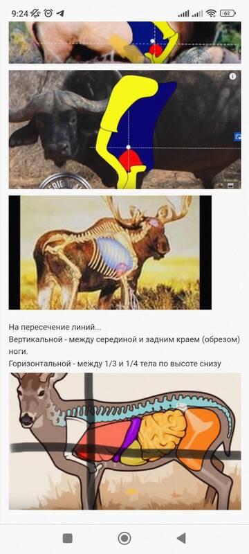 https://upforme.ru/uploads/001a/8c/05/541/t839620.jpg