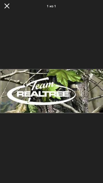 https://upforme.ru/uploads/001a/8c/05/69/t387692.png