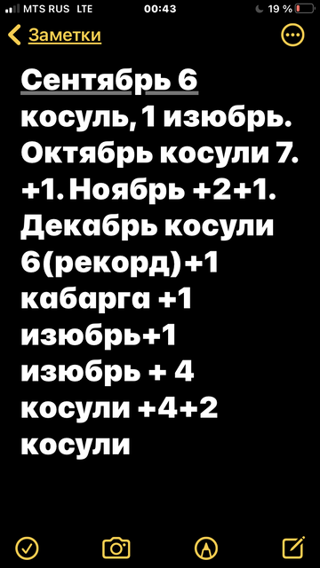 https://upforme.ru/uploads/001a/8c/05/69/t494512.png