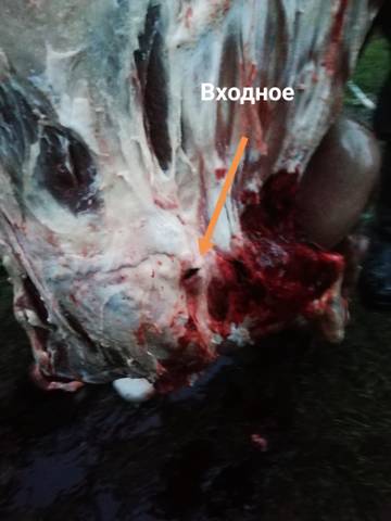 https://upforme.ru/uploads/001a/8c/05/76/t26582.jpg
