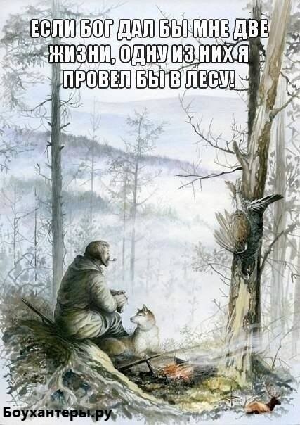 https://upforme.ru/uploads/001a/8c/05/86/t942616.jpg